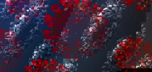 Eyes And Coronavirus